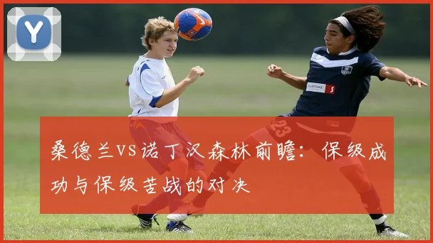 桑德兰vs诺丁汉森林前瞻：保级成功与保级苦战的对决