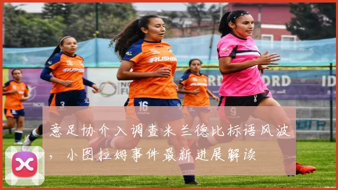 意足协介入调查米兰德比标语风波，小图拉姆事件最新进展解读